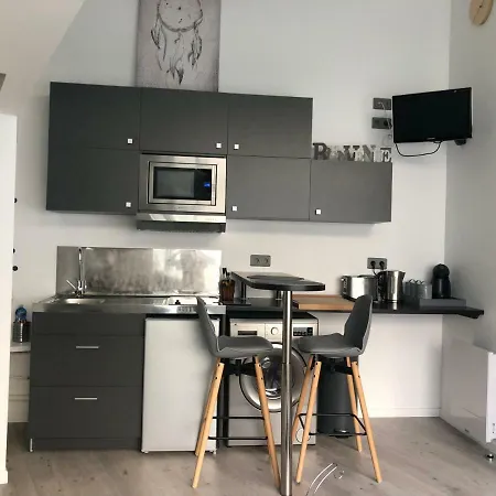 2 Lofts Cosy De Cachet Idealement Situes Au Centre De 아파트 *