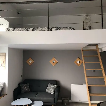 2 Lofts Cosy De Cachet Idealement Situes Au Centre De