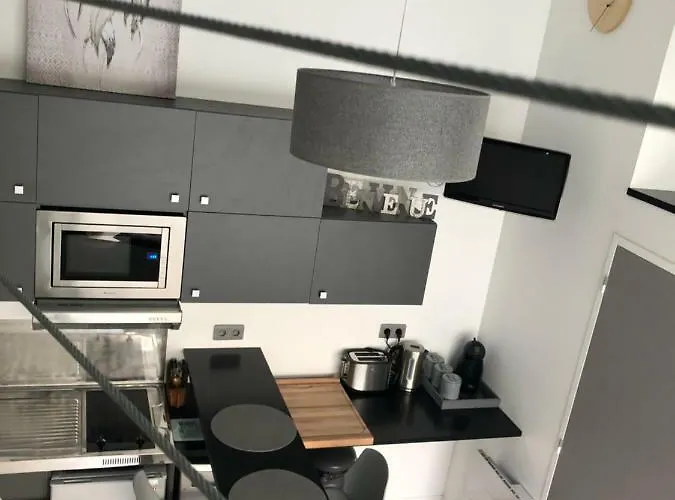 2 Lofts Cosy De Cachet Idealement Situes Au Centre De Lejlighed Clermont-Ferrand