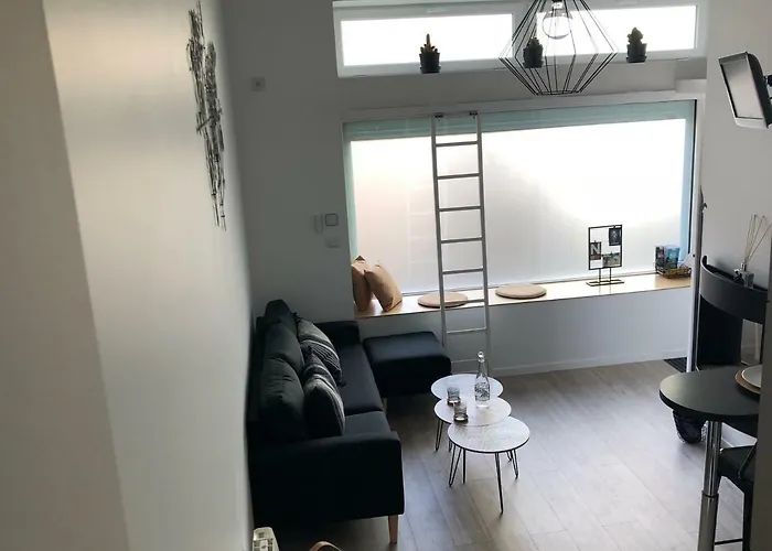 2 Lofts Cosy De Cachet Idealement Situes Au Centre De Lejlighed